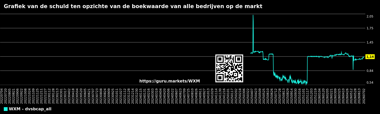 Grafiek van de schuld ten opzichte van de boekwaarde van alle bedrijven op de markt